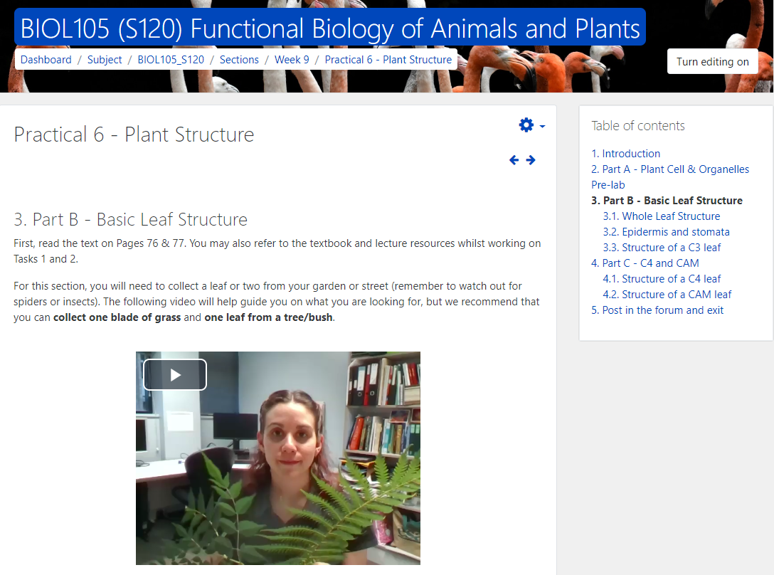 A screenshot of a Moodle Book which contains subject content in the form of text, images, and an explanatory video from the subject coordinator presented as an embedded Poodll video